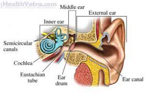 hearing neuropathy