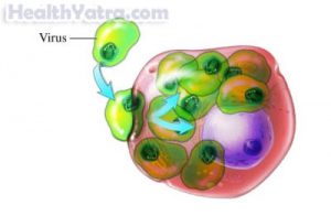 Virus Attacking Cell