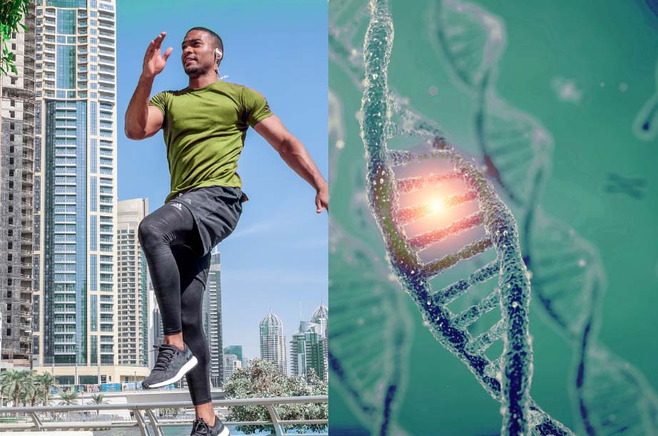आपका जीन आपकी फिटनेस को कैसे प्रभावित कर सकता है I